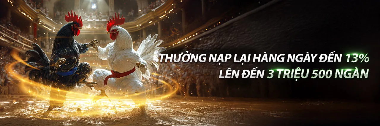 Ưu Đãi Hấp Dẫn 77 Ball App Android