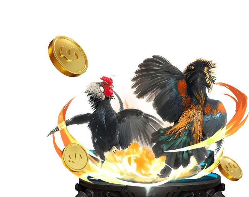 Hướng dẫn tải và cài đặt 77 Ball App Android